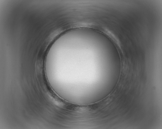 X0000079310107200612011826