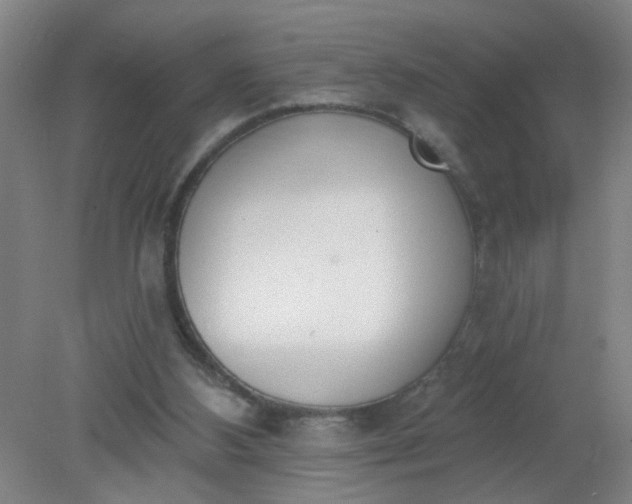 X0000079310108200612011826
