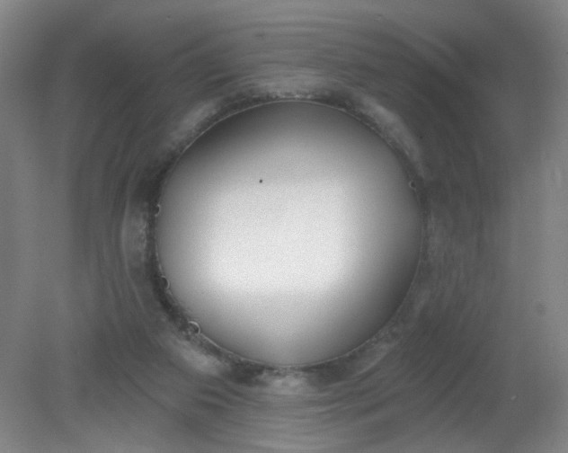 X0000079310113200612011826