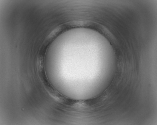X0000079310119200612011826
