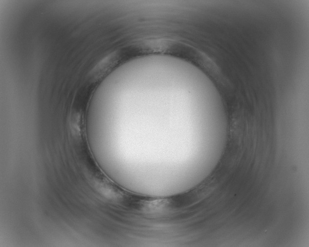 X0000079310122200612011826