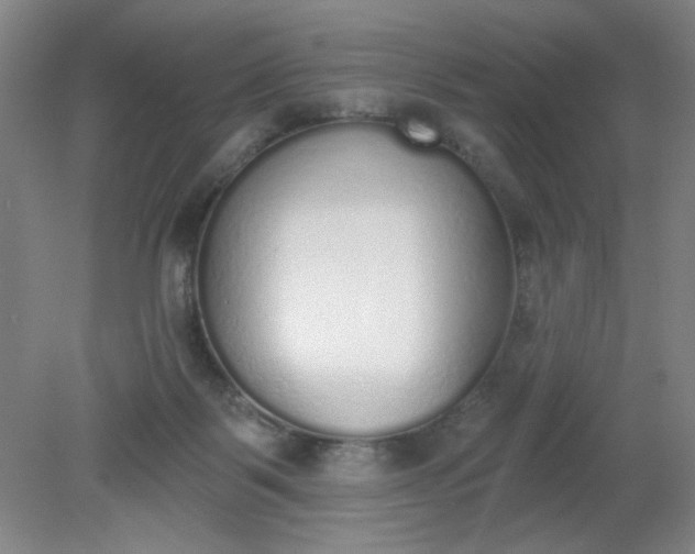 X0000079310123200612011826