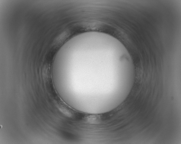 X0000079310126200612011826