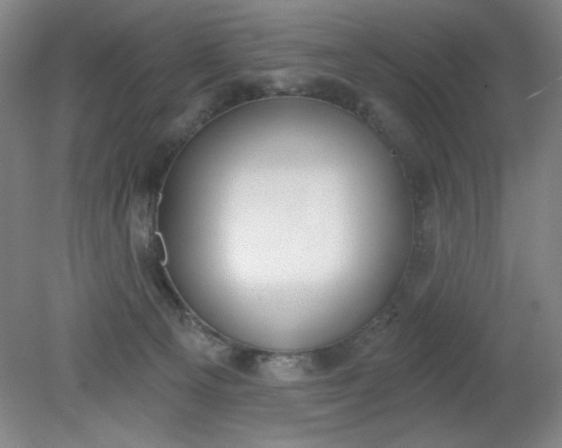 X0000079310129200612011826