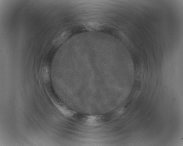 X0000079310130200612011826