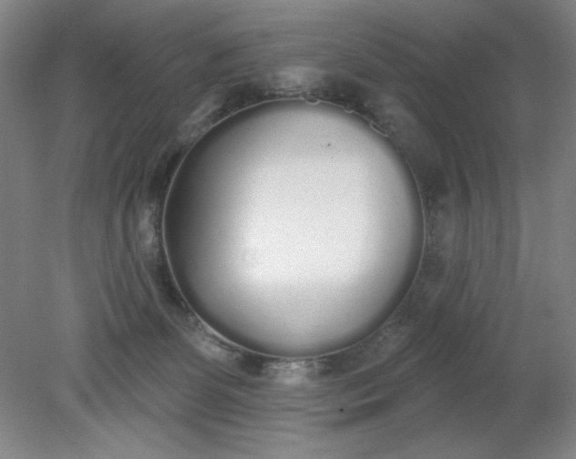 X0000079310131200612011826