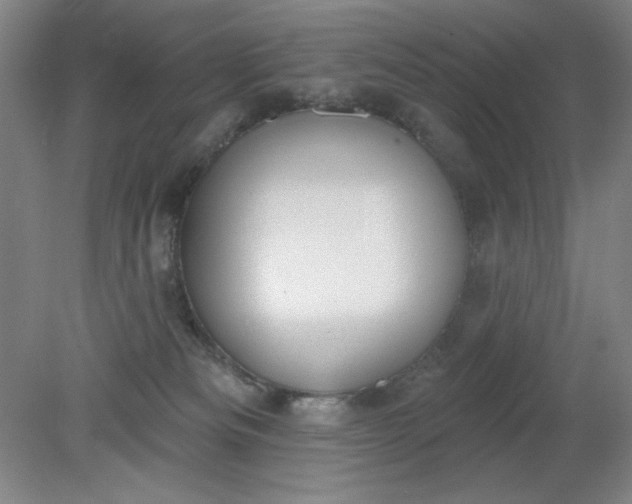 X0000079310133200612011826