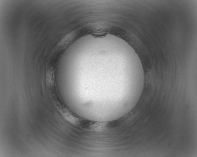 X0000079310138200612011826