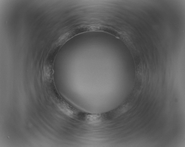 X0000079310139200612011826