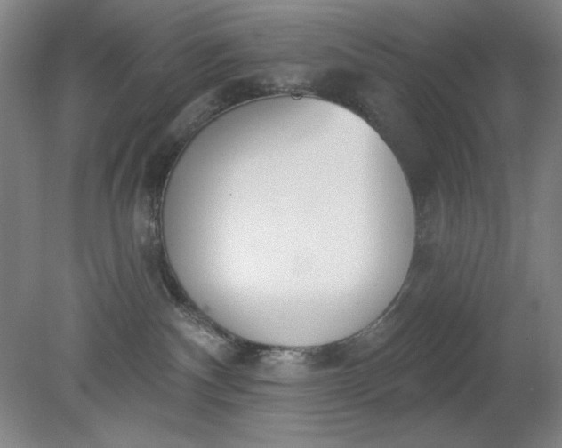 X0000079310140200612011826