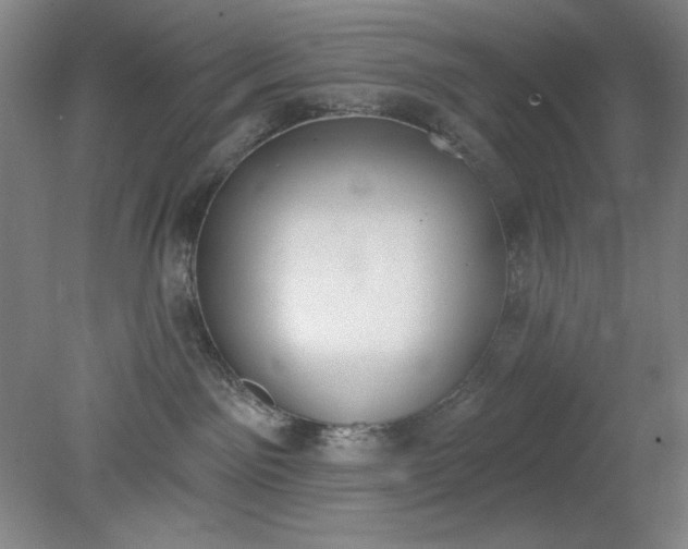 X0000079310141200612011826