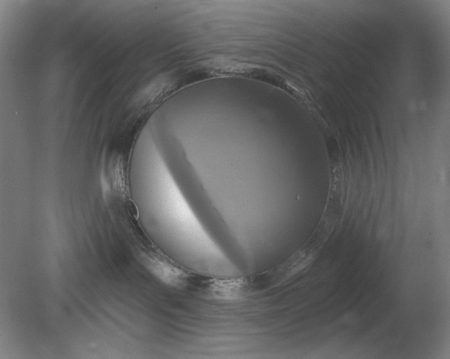 X0000079310143200612011826