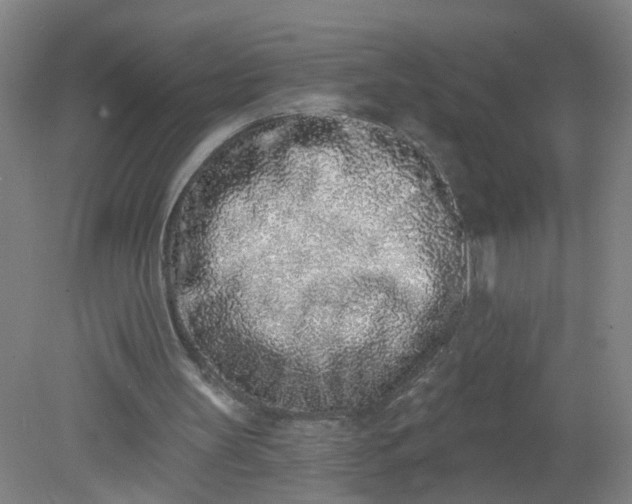 X0000079310147200612011825