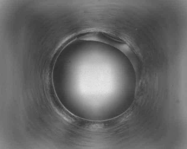 X0000079310156200612011825