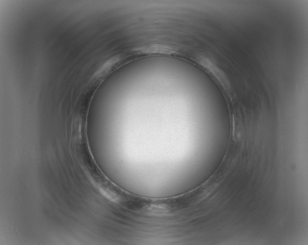 X0000079310157200612011825