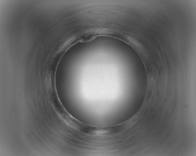 X0000079310158200612011825