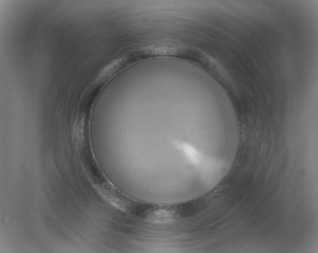 X0000079310163200612011825