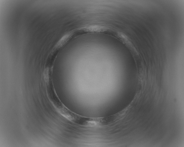 X0000079310167200612011825