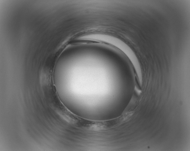 X0000079310168200612011825