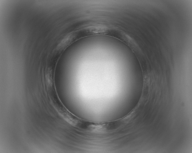 X0000079310170200612011825