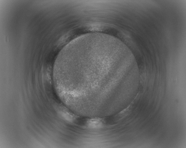 X0000079310175200612011826