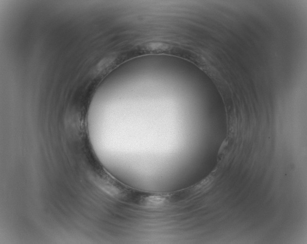 X0000079310176200612011826