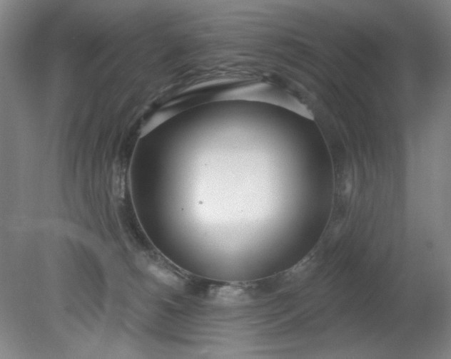 X0000079310180200612011826