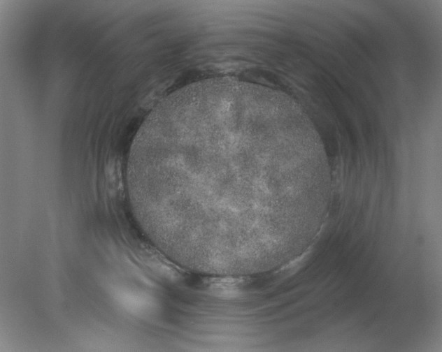 X0000079310182200612011826