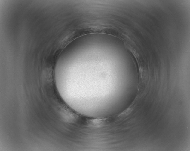 X0000079310184200612011826