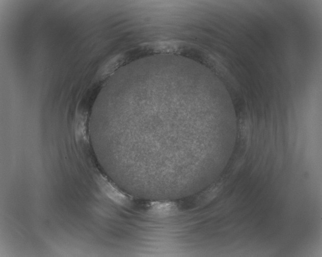X0000079310185200612011826