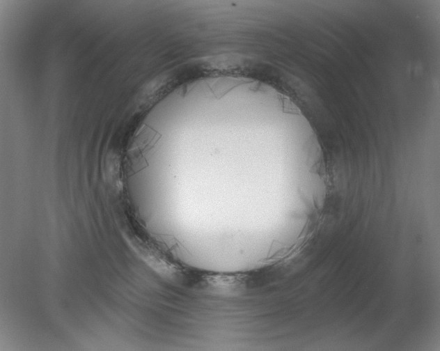 X0000079310187200612011826