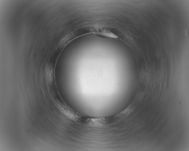 X0000079310188200612011826