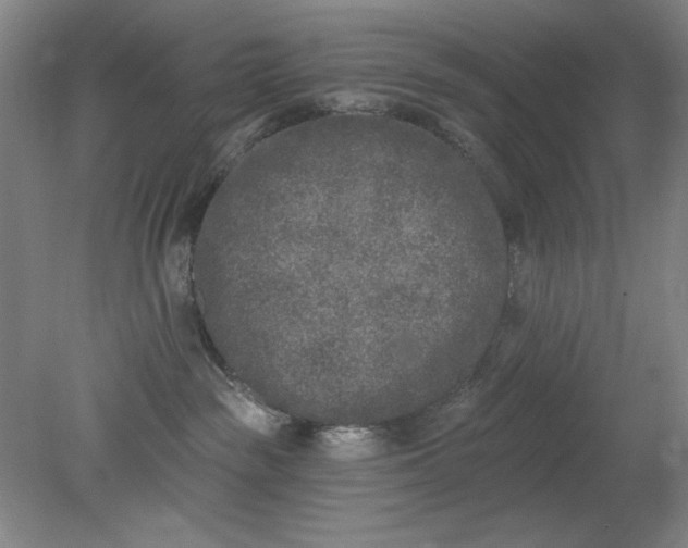 X0000079310189200612011826