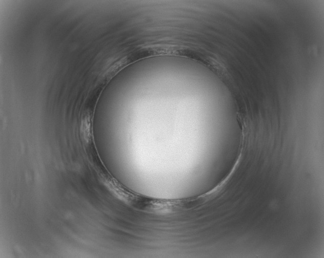 X0000079310190200612011826