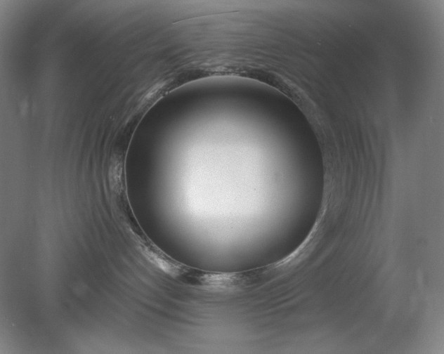 X0000079310192200612011826