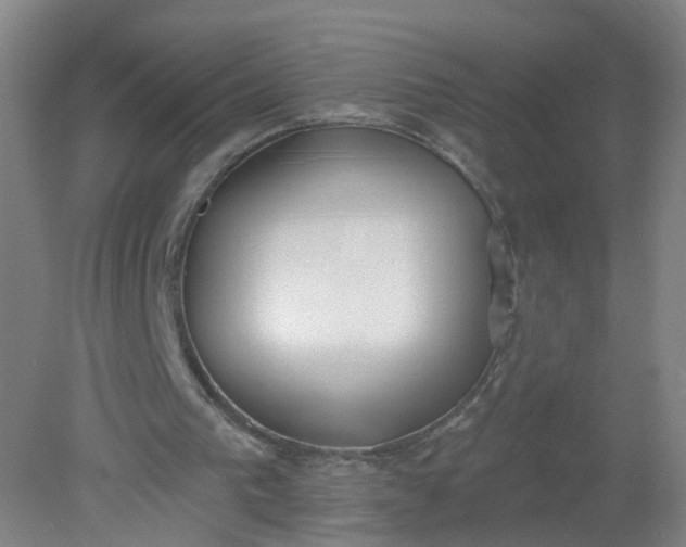 X0000079310193200612011825