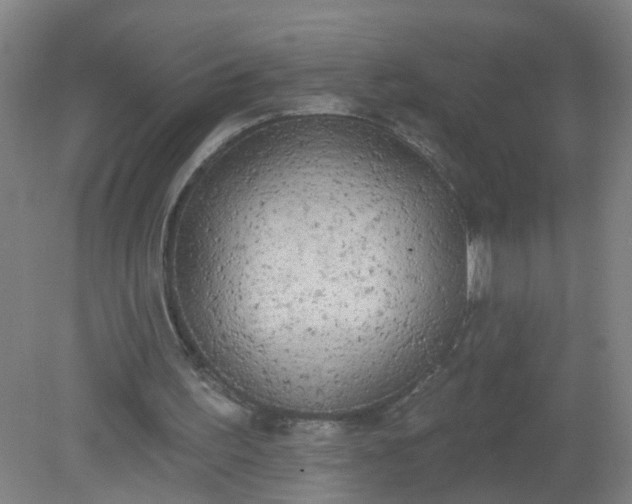 X0000079310195200612011825