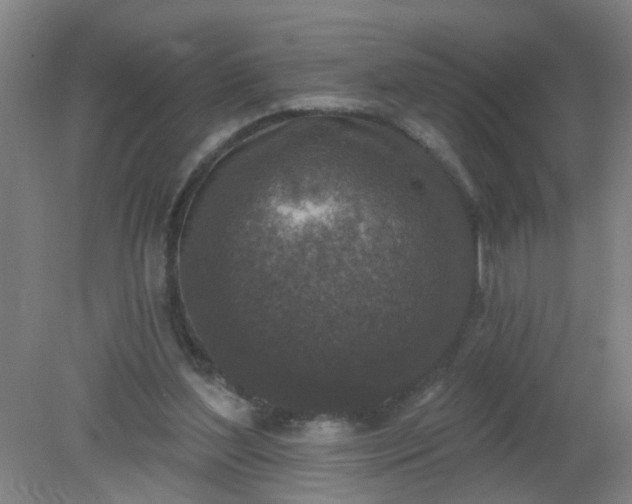 X0000079310204200612011825