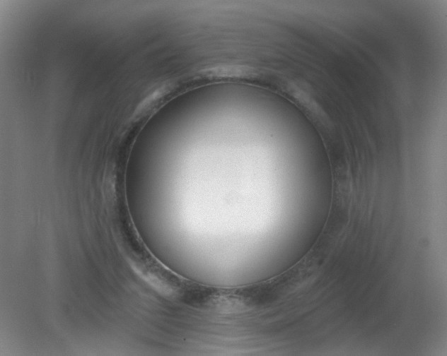 X0000079310207200612011825