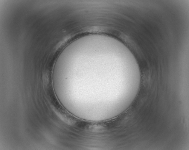 X0000079310208200612011825
