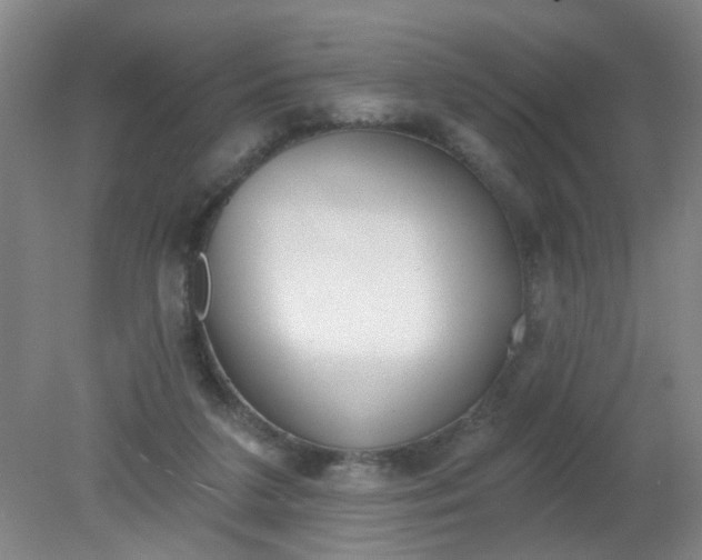 X0000079310211200612011825