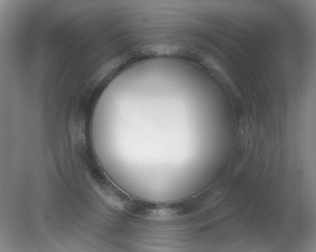 X0000079310212200612011825