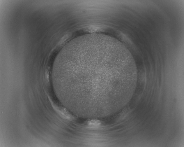X0000079310214200612011825
