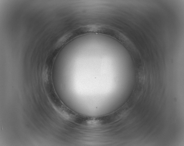 X0000079310216200612011825