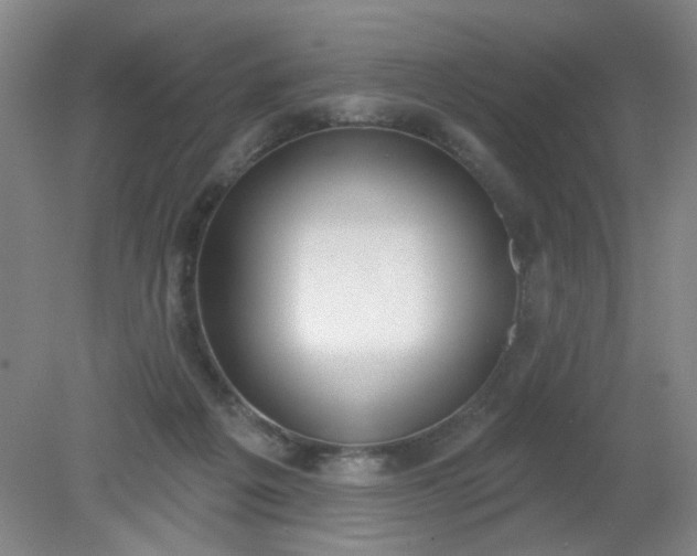 X0000079310217200612011825