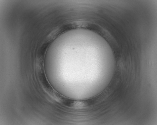 X0000079310218200612011825