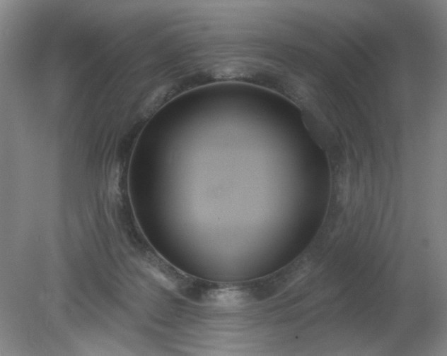 X0000079310219200612011825