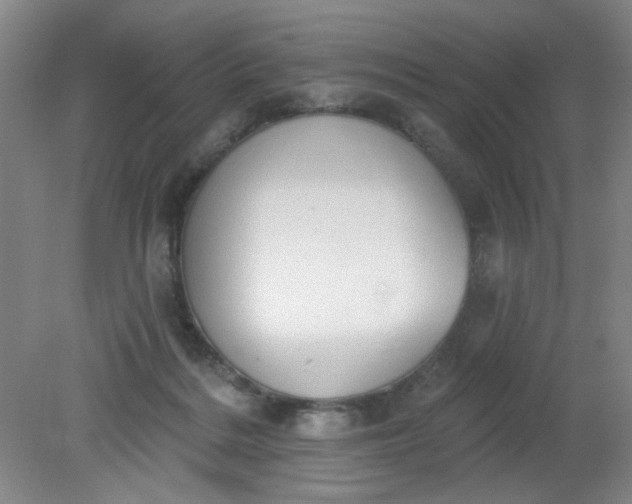X0000079310220200612011825