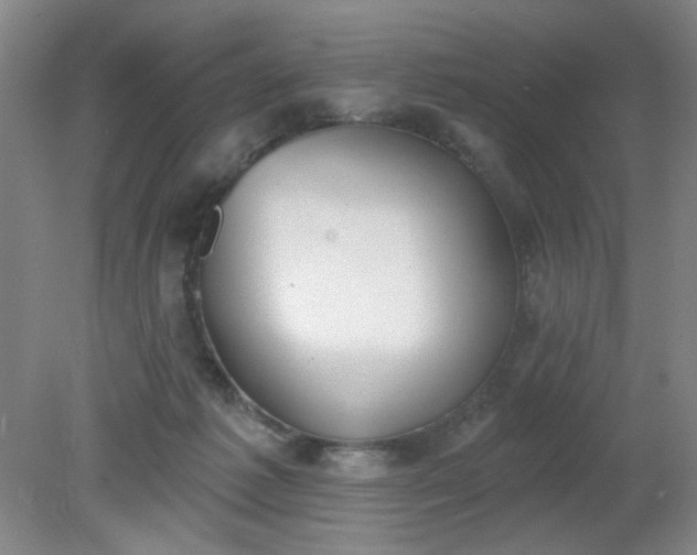 X0000079310221200612011825