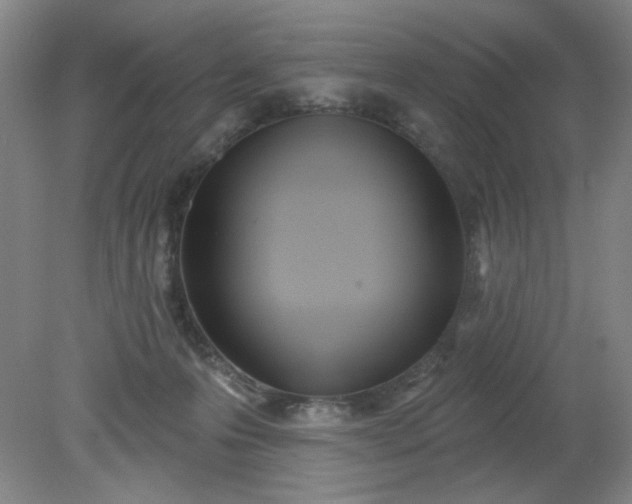 X0000079310223200612011824